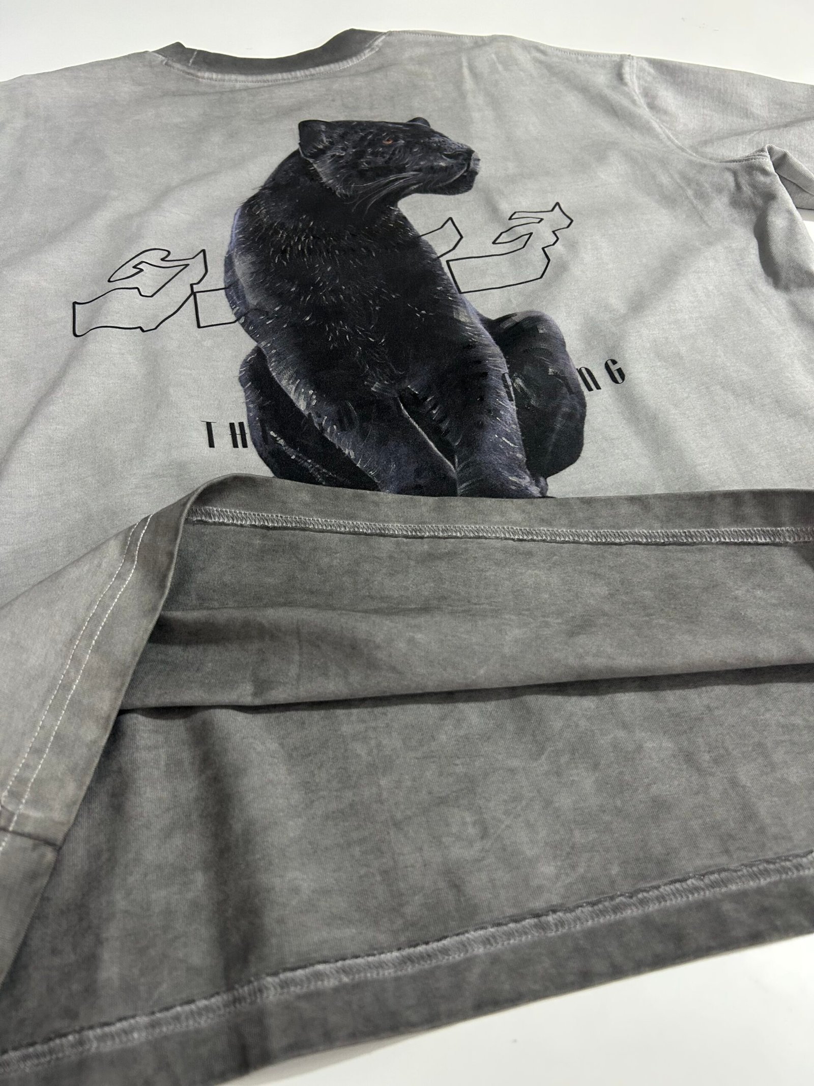 Custom Graphic Print on Washed T-Shirt